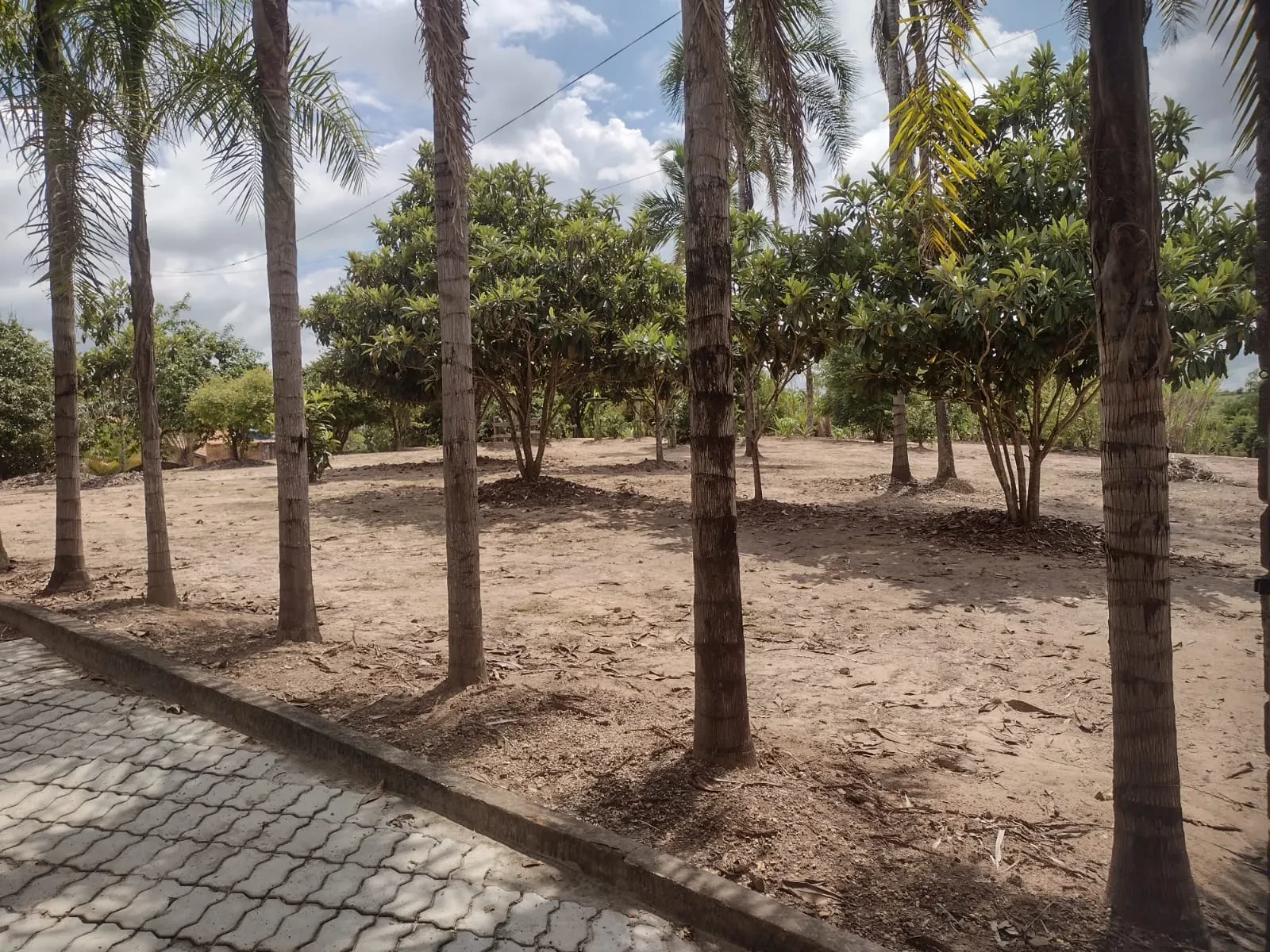 Imagem Chácara com 3 Quartos à Venda, 1200 m² em City Castello - Itu