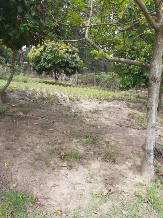Imagem Chácara com 2 Quartos à Venda, Locação ou Temporada, 100 m² em Ribeirão grande  - Piedade