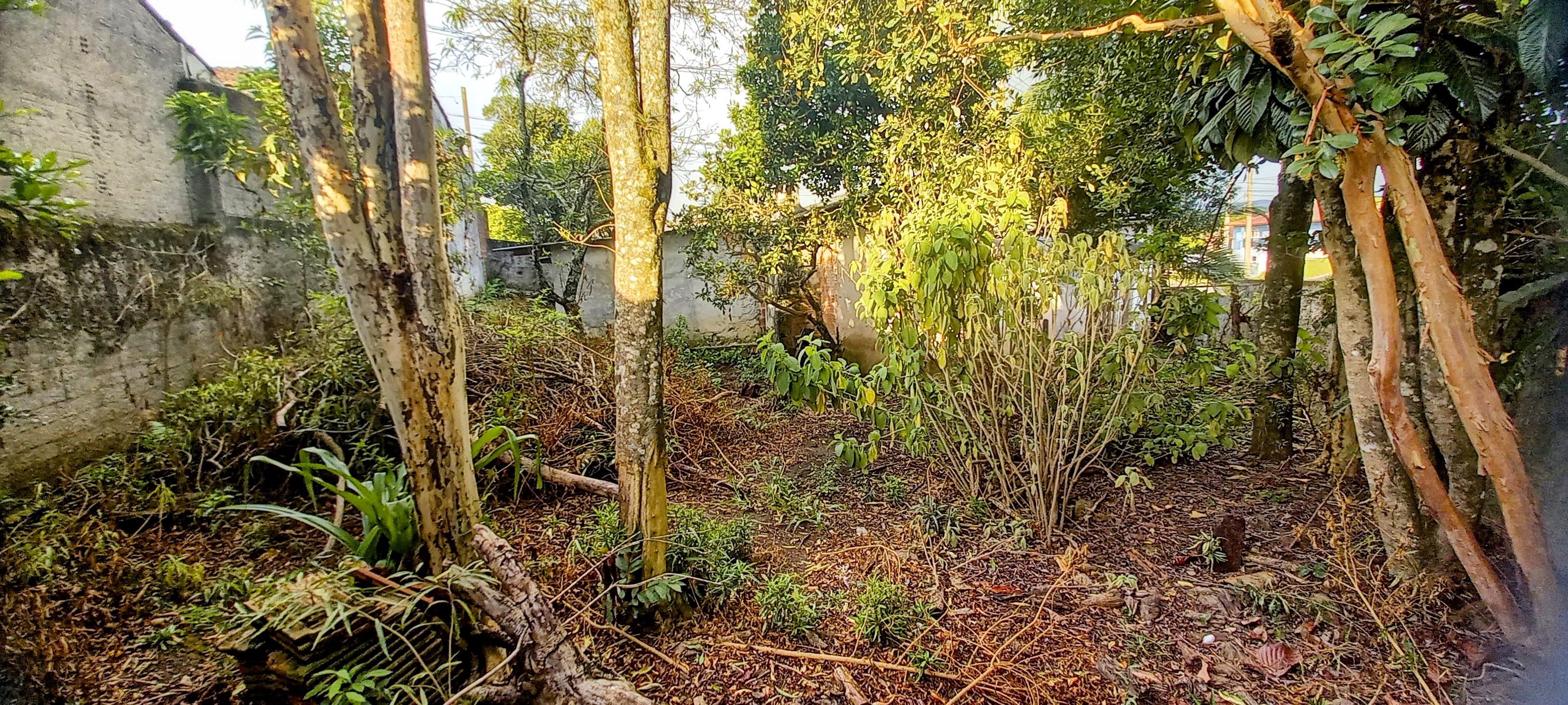 Imagem Casa à Venda, 365 m² em Contenda - São José dos Pinhais