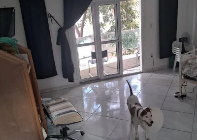 Imagem Sobrado com 3 Quartos para Alugar, 105 m² em Parque Savoy City - São Paulo