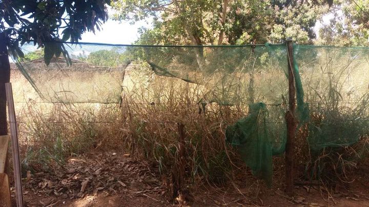 Terreno à Venda, 360 m² em Parque Itamaraty - Aparecida De Goiânia