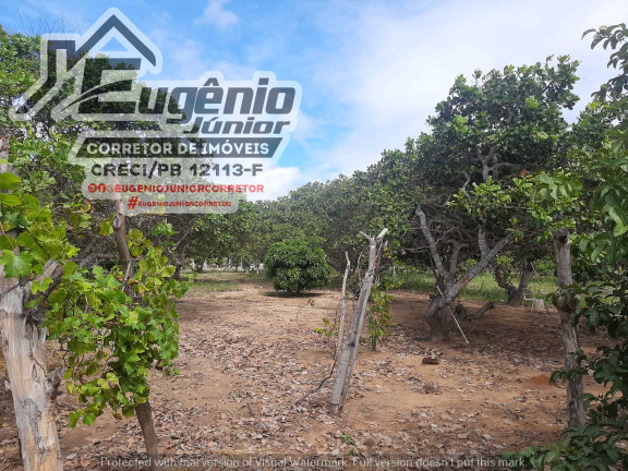 Chácara com 2 Quartos à Venda, 1.600 m² em Zona Rural - São José de Piranhas