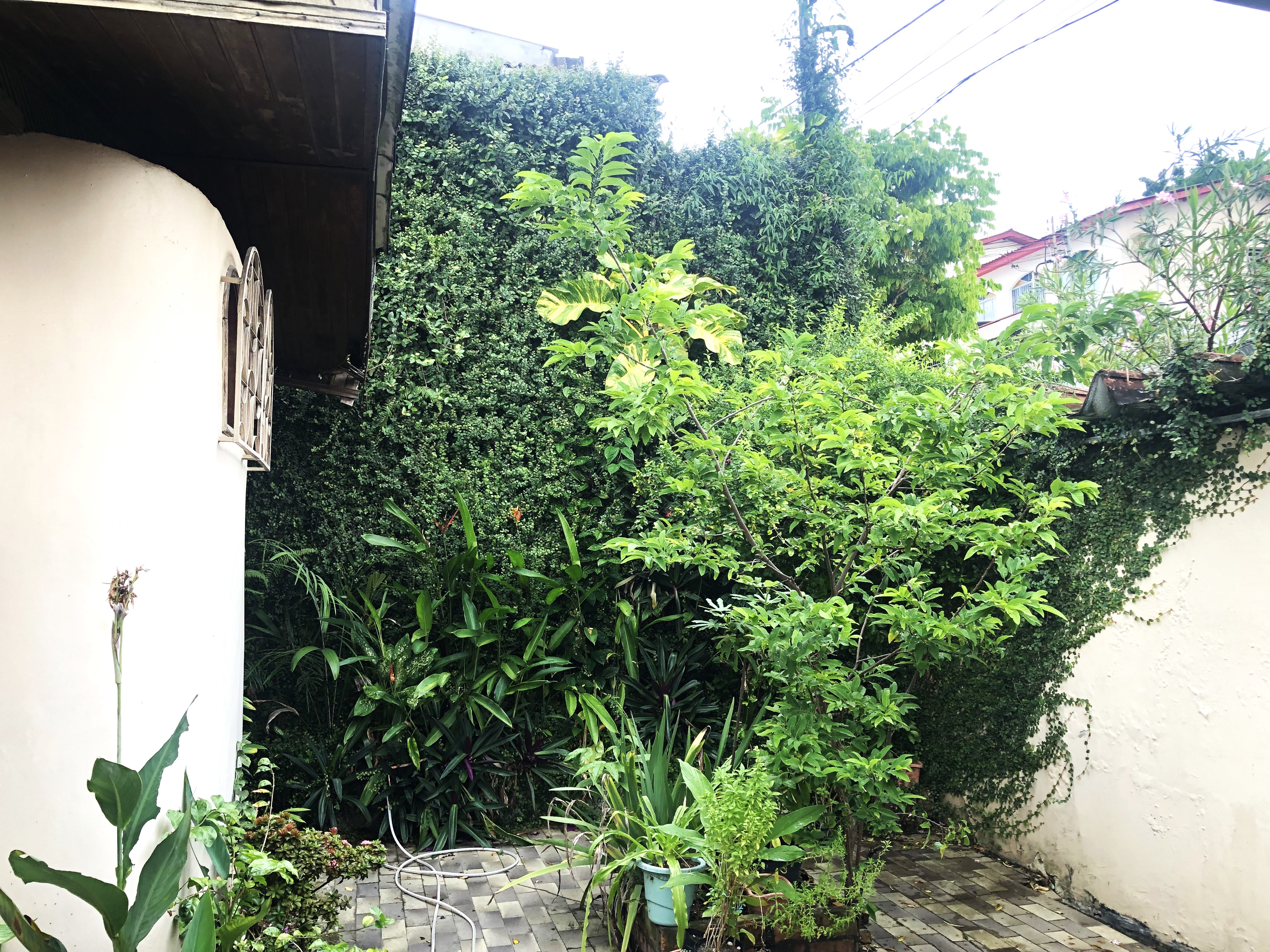 Foto do imóvel: Casa com 4 Quartos à Venda ou Locação, 295 m² em Compensa - Manaus