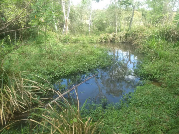 Imagem Fazenda à Venda, 36.000 m² em Aparecidinha - Araçoiaba da Serra