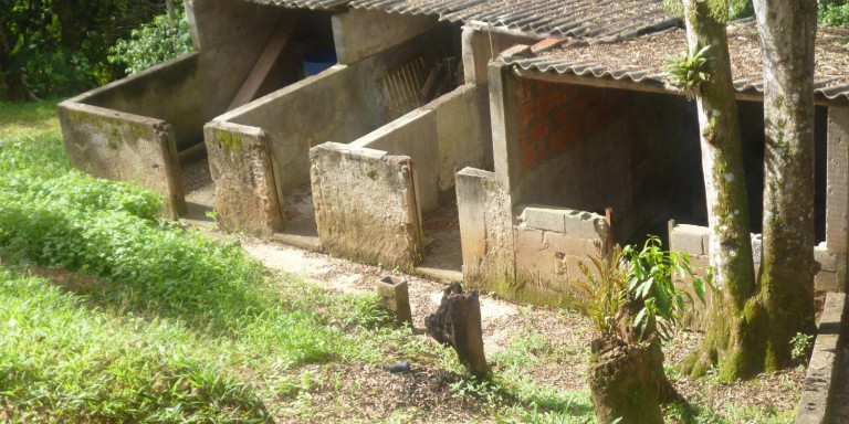 Imagem Chácara com 6 Quartos à Venda, 41.000 m² em Centro - Santa Isabel