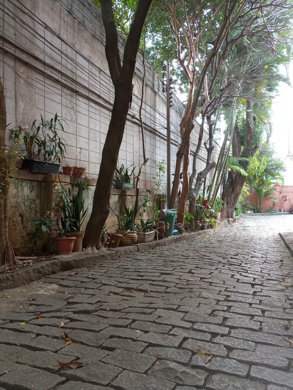 Foto do imóvel: Sobrado com 3 Quartos para Alugar, 135 m²em Indianópolis - São Paulo