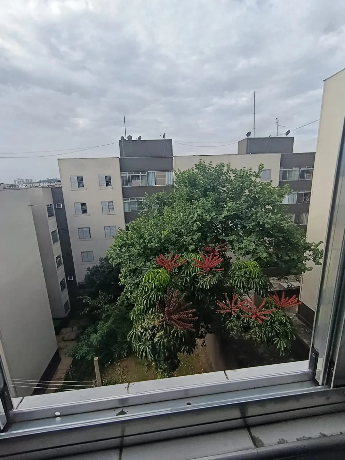 Imagem Apartamento com 2 Quartos à Venda, 52 m² em Jardim Brasília - São Paulo