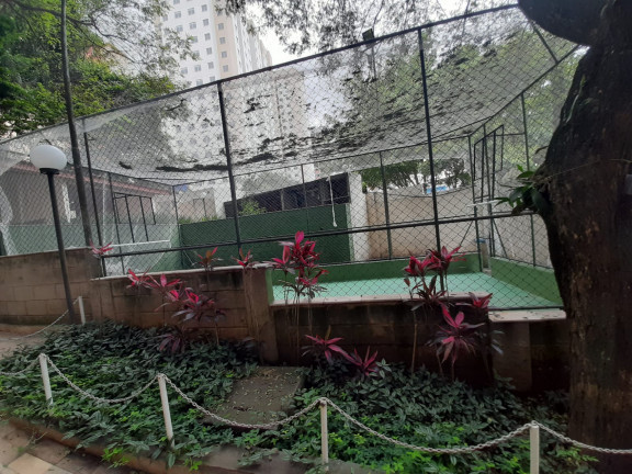Imagem Apartamento com 3 Quartos à Venda, 58 m² em Parque Munhoz - São Paulo