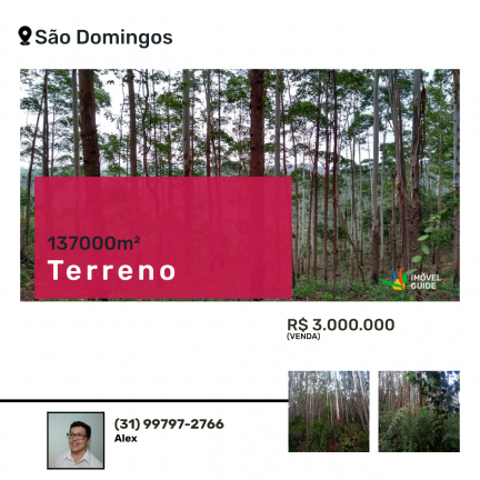 Imagem Terreno à Venda, 137.000 m² em São Domingos - Bias Fortes
