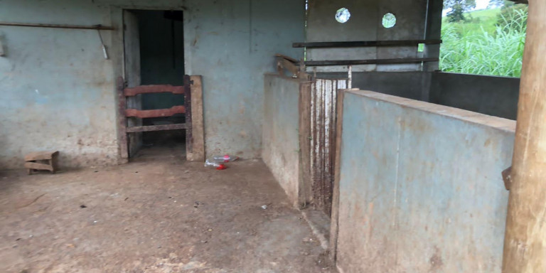 Imagem Chácara com 4 Quartos à Venda,  em Centro - Santa Isabel