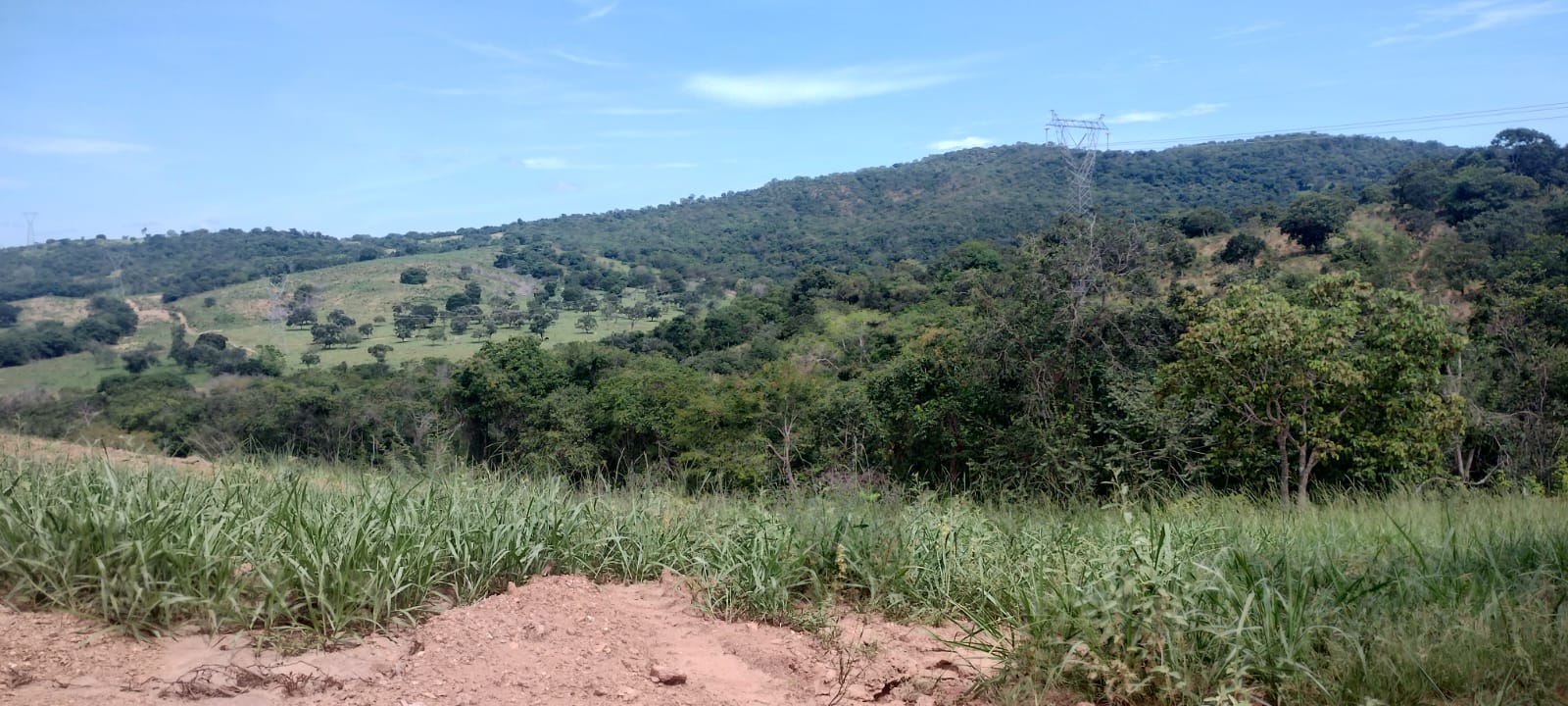Imagem Fazenda à Venda, 16 Alq GO em SN - Caldas Novas