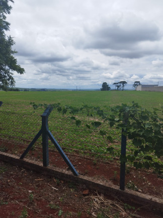 Imagem Terreno à Venda,  em Vila Industrial - Arapongas