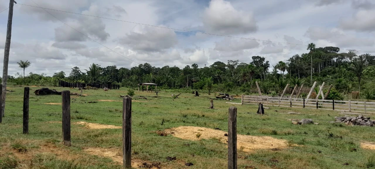 Imagem Fazenda à Venda, 560 HA em Canutama - Canutama
