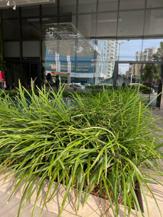 Imagem Apartamento com 1 Quarto à Venda, 67 m² em Centro - Florianópolis