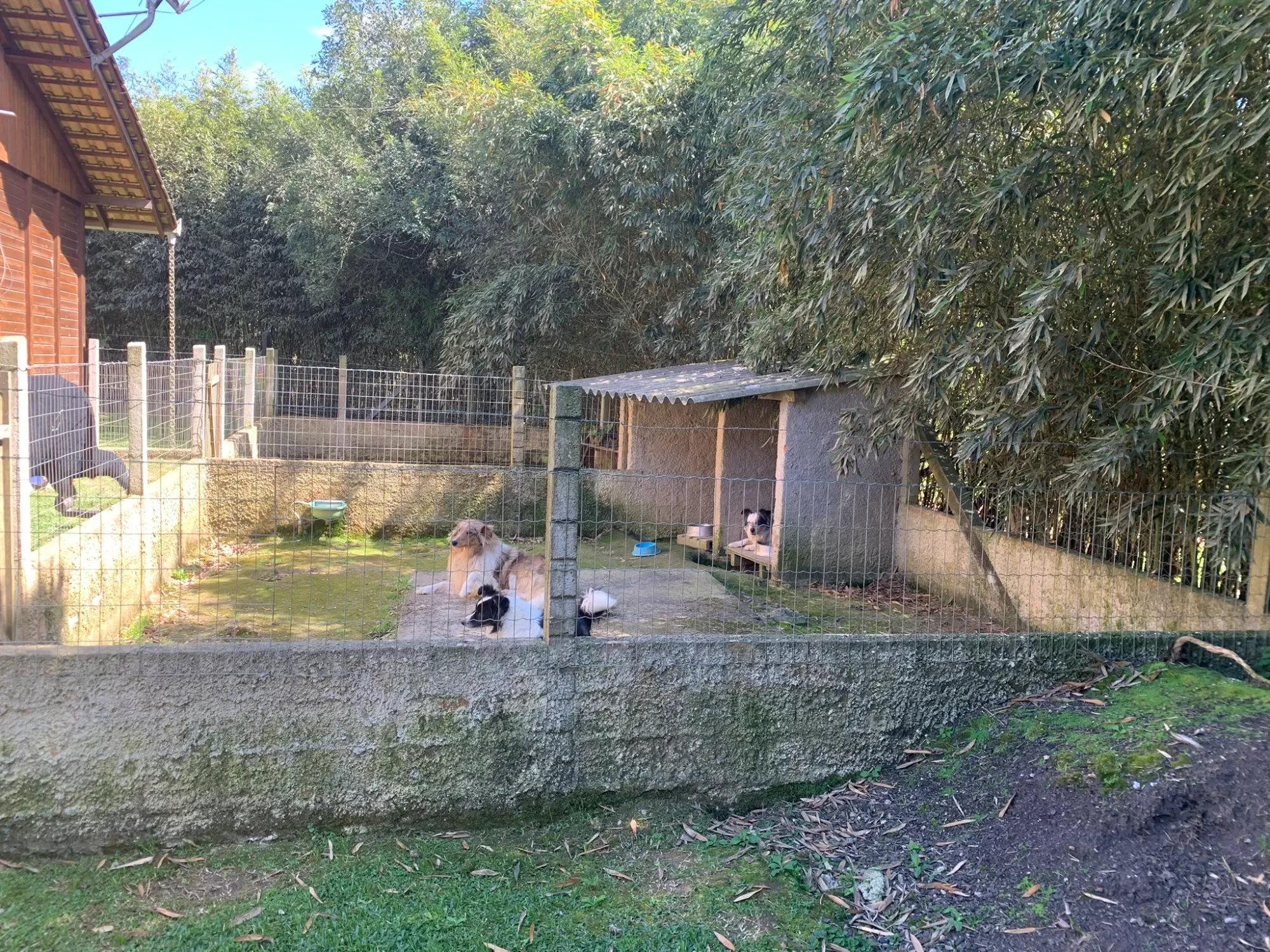 Foto do imóvel: Chácara com 3 Quartos à Venda, 5000 m² em Colonia Marcelino - São José dos Pinhais