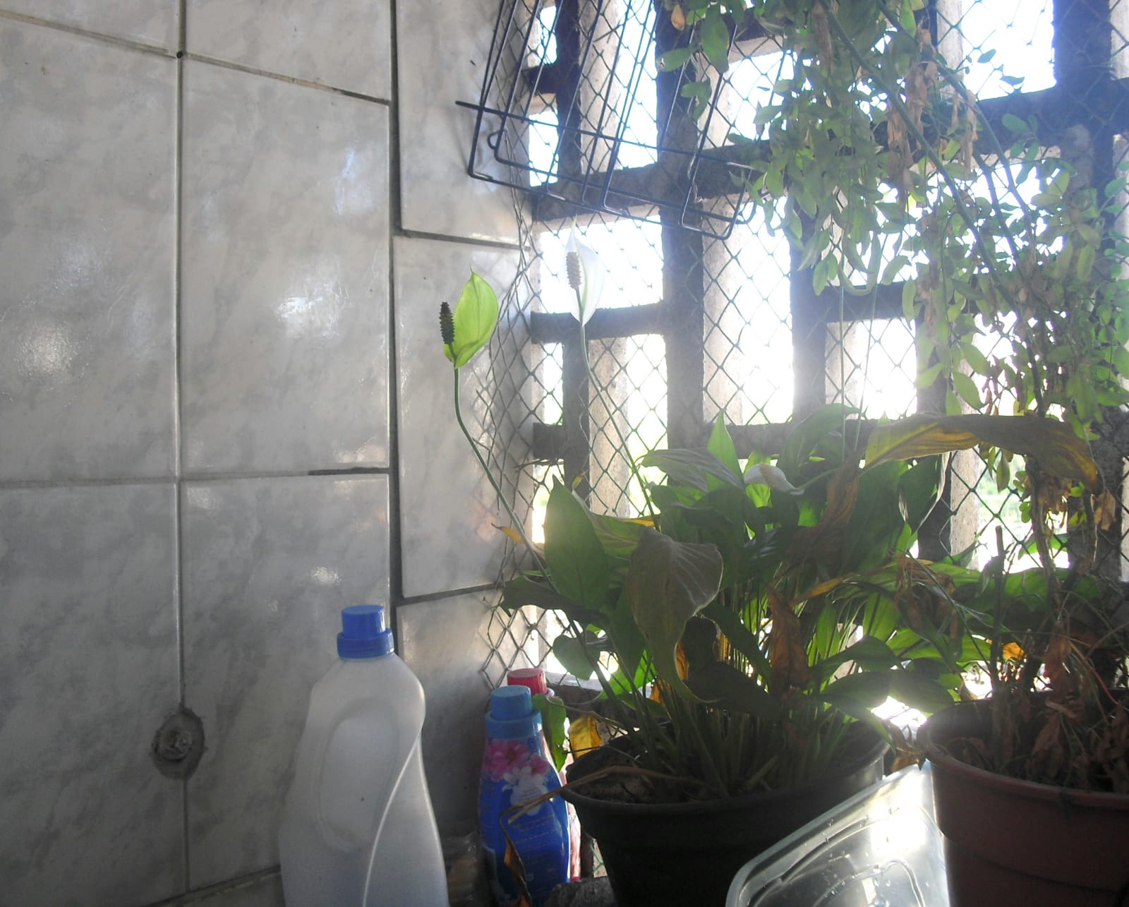 Imagem Apartamento com 1 Quarto à Venda, 75 m²em Brás - São Paulo