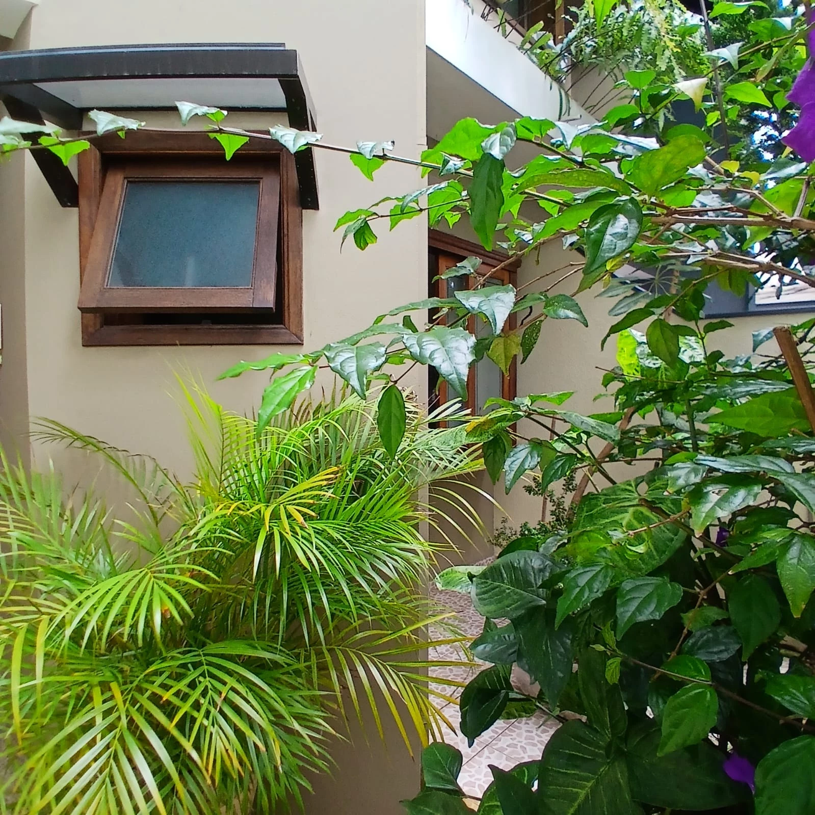 Foto do imóvel: Sobrado com 3 Quartos à Venda, 259 m² em Nova Petrópolis - São Bernardo do Campo