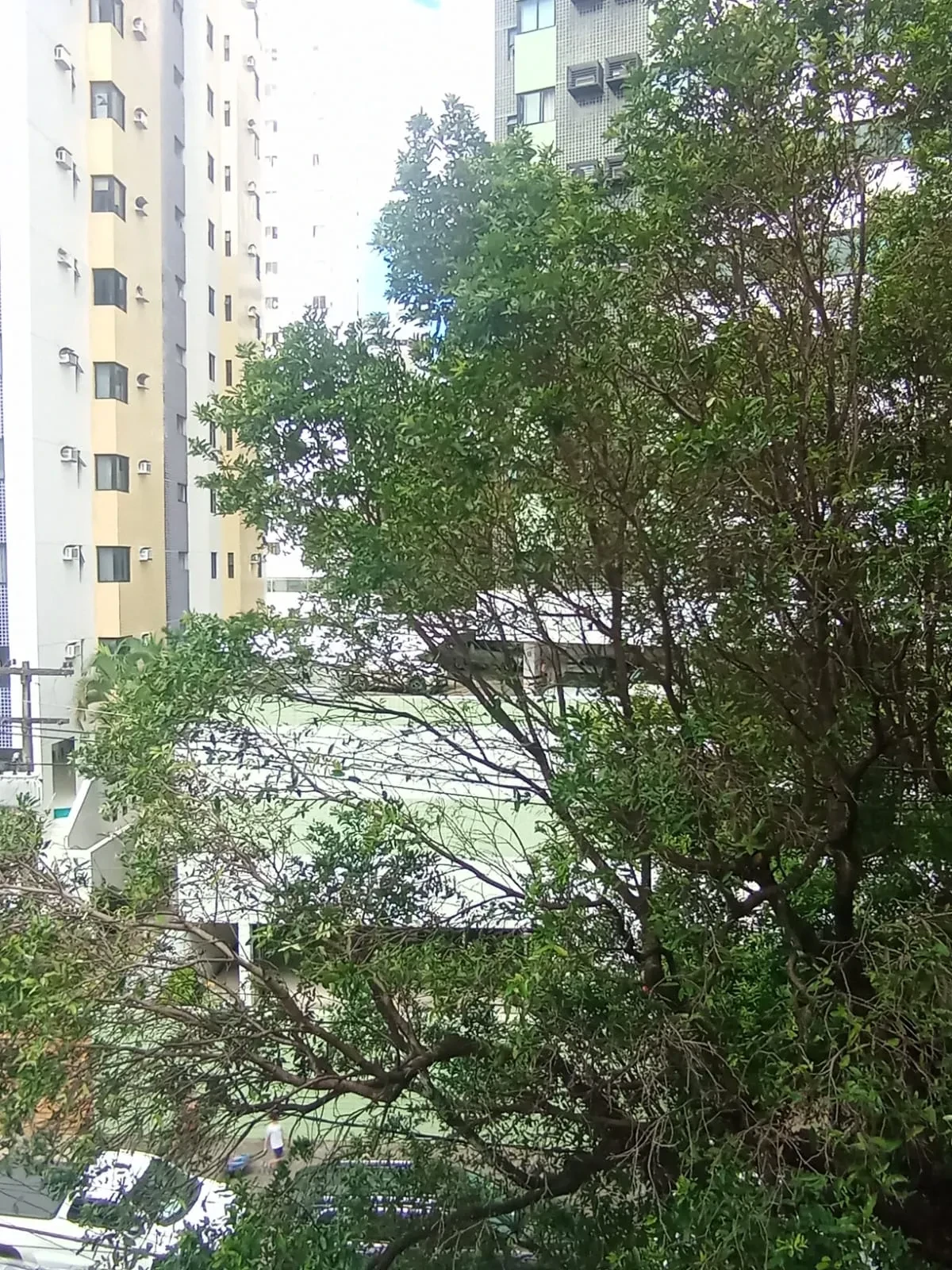 Imagem Apartamento com 3 Quartos à Venda, 75 m² em Madalena - Recife