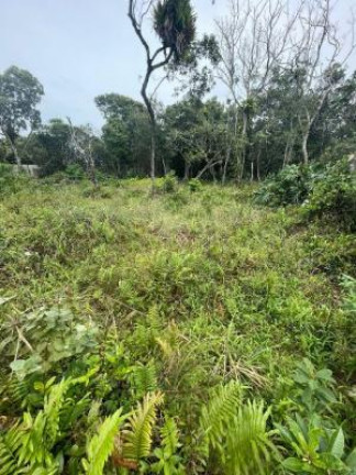Terreno à Venda, 280 m² em Jd. Marambá - Itanhaém