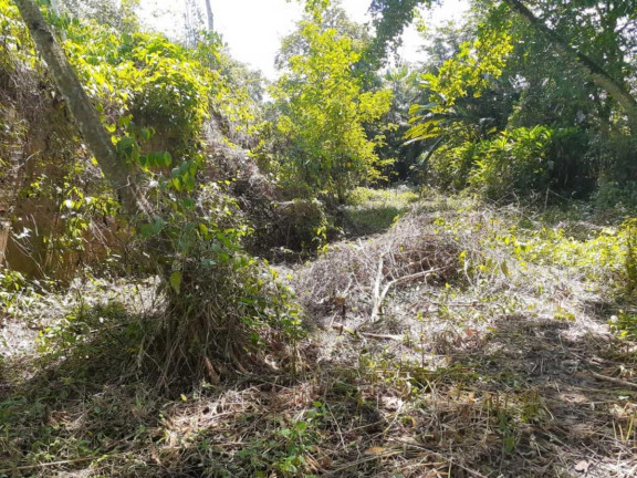 Imagem Terreno à Venda,  em Marituba - Ananindeua