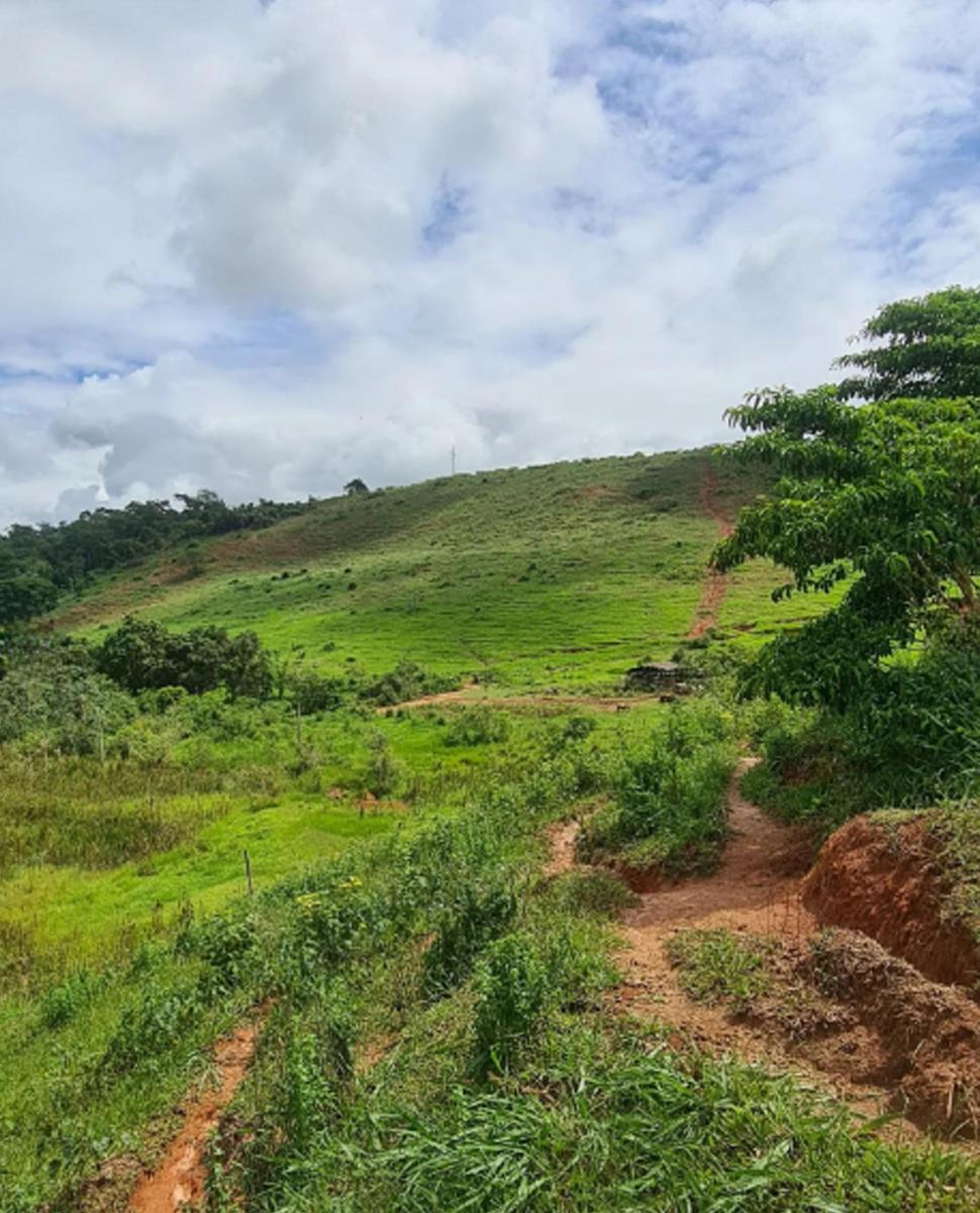 Foto do imóvel: Chácara com 3 Quartos à Venda, 62.000 m² em Centro - Rio Casca