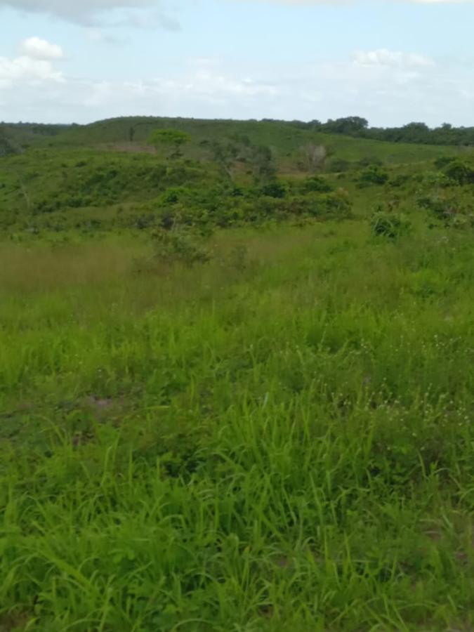 Imagem Chácara com 3 Quartos à Venda, 350 m²em 100 - Bragança