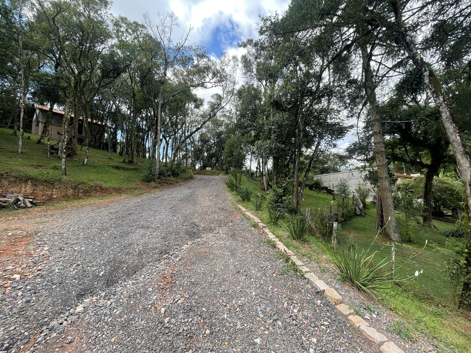 Foto do imóvel: Chácara com 3 Quartos à Venda, 6.800 m² em Salgadinho - Campo Largo