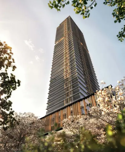 Imagem Apartamento com 3 Quartos à Venda, 244 m² em Jardim Paulista - São Paulo