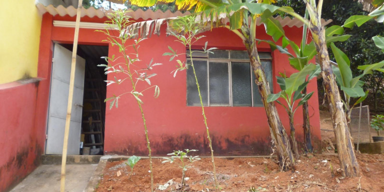 Imagem Chácara com 2 Quartos à Venda, 4.000 m² em Centro - Santa Isabel