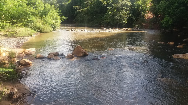 Imagem Fazenda à Venda, 54 Alq GOem Setor Central - Faina