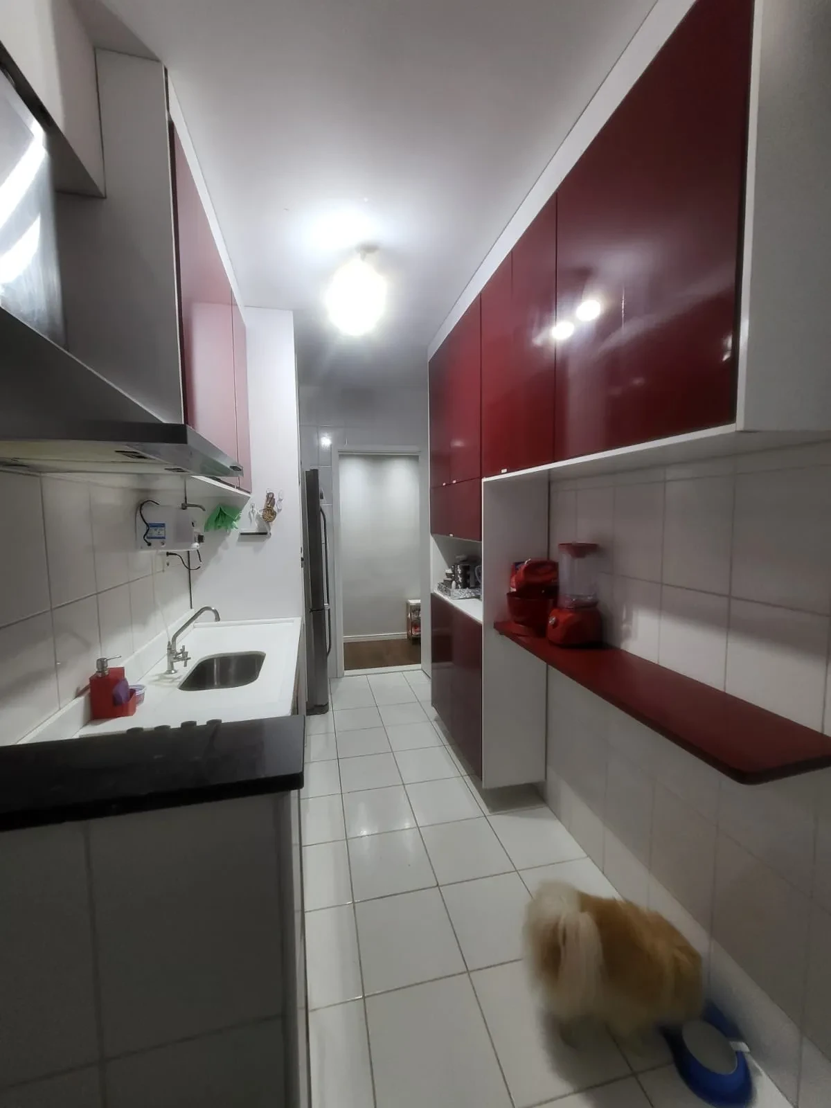 Foto do imóvel: Apartamento com 3 Quartos à Venda ou Locação, 80 m² em Trobogy - Salvador