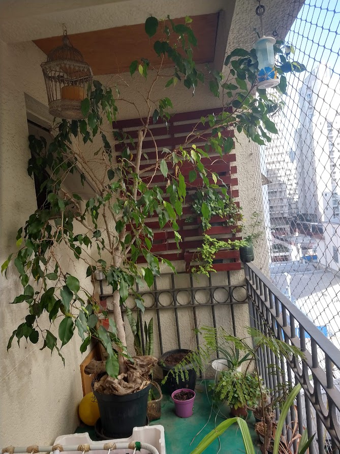 Imagem Apartamento com 2 Quartos à Venda, 80 m²em Vila Nova Conceição - São Paulo