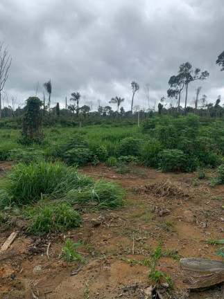Imagem Fazenda à Venda, 837 HA em Área Rural de Santarém - Santarém