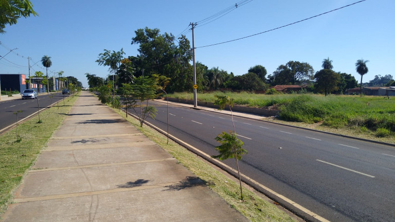 Imagem Terreno à Venda, 5.000 m² em Chácaras TV - Araçatuba