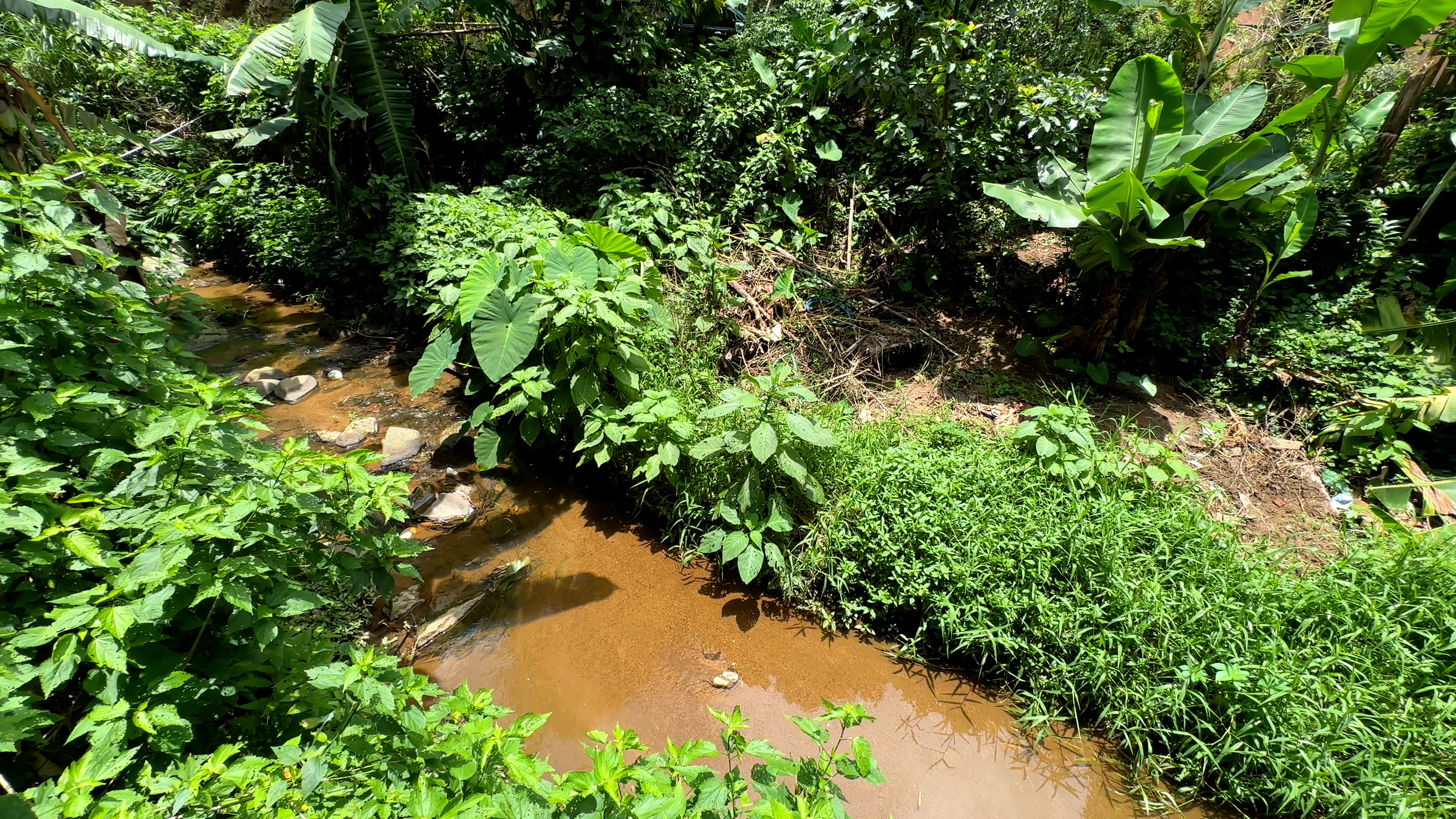 Foto do imóvel: Casa com 5 Quartos à Venda, 240 m² em Itaipava - Petrópolis
