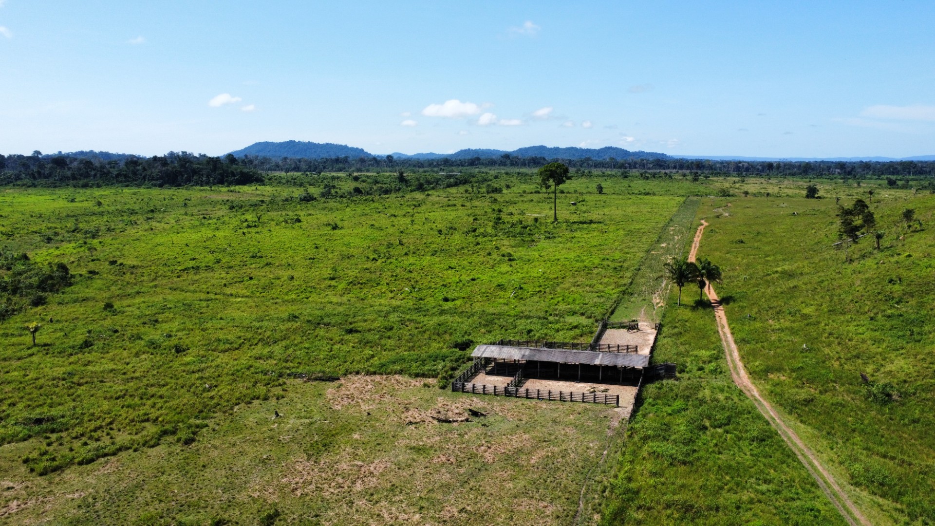 Foto do imóvel: Fazenda à Venda, 900 Alq MGem Centro  - São Félix do Xingu
