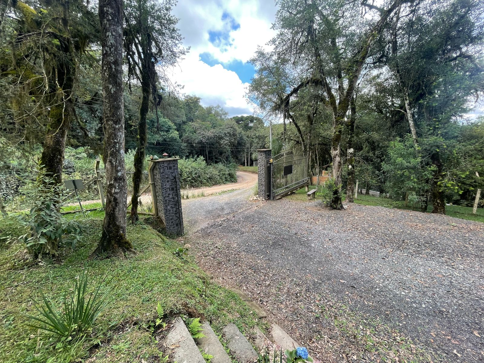 Foto do imóvel: Chácara com 3 Quartos à Venda, 6.800 m² em Salgadinho - Campo Largo