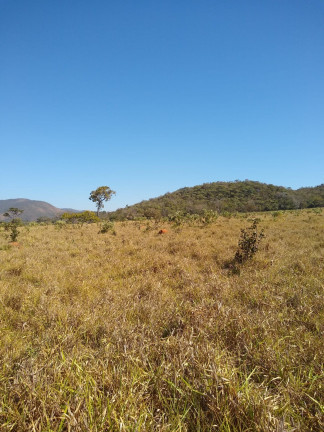 Imagem Fazenda à Venda,  em Área Rural - Mimoso de Goiás