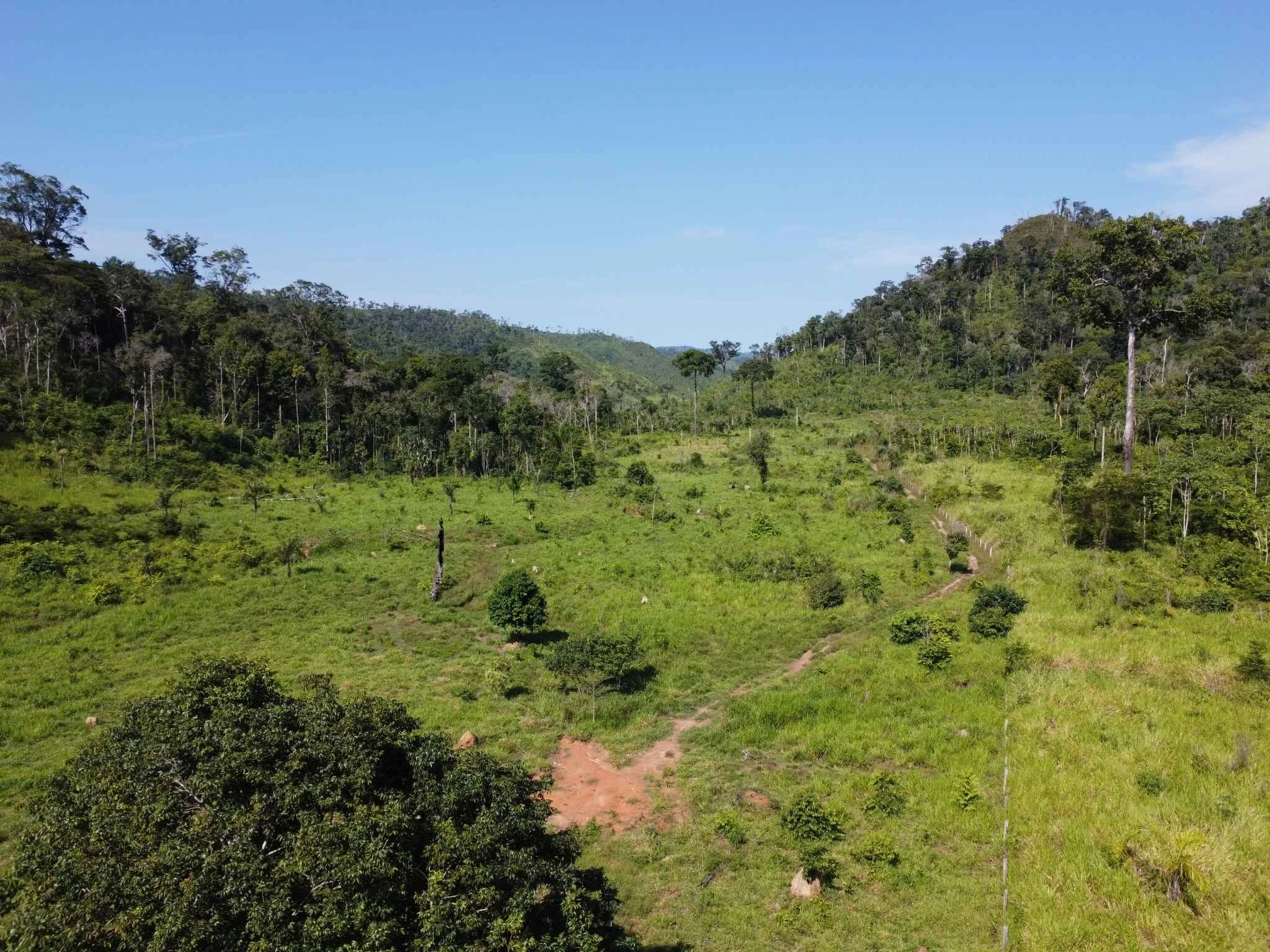 Foto do imóvel: Fazenda à Venda, 90 Alq. GO em São Félix do Xingu - São Félix do Xingu