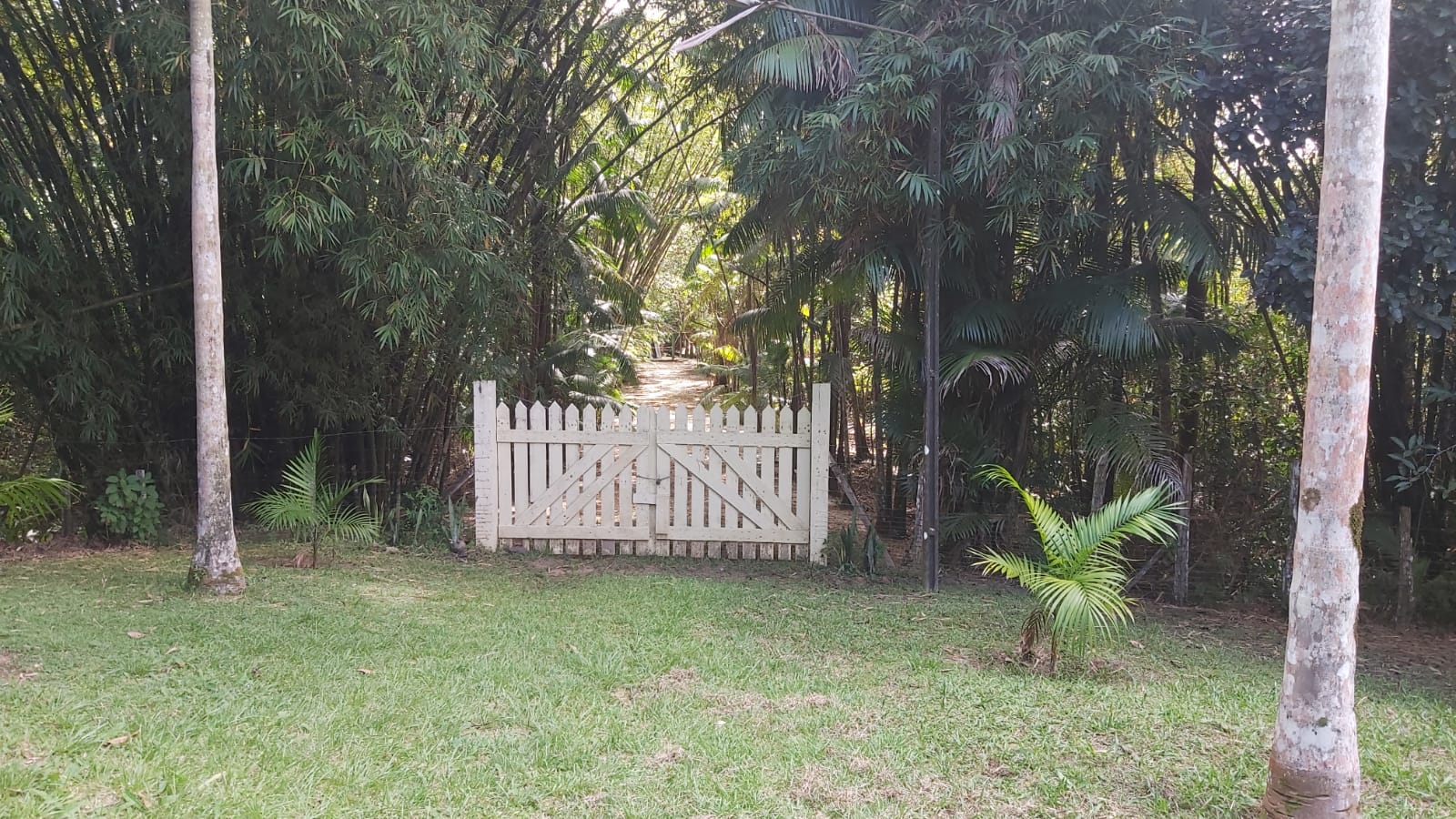 Imagem Chácara com 2 Quartos à Venda, 47 m²em Zona Rural - Santa Maria do Pará