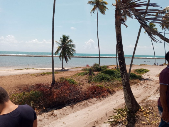 Imagem Apartamento com 4 Quartos à Venda, 175 m² em Praia de Muro Alto - Ipojuca