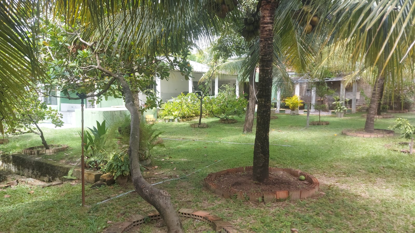 Imagem Casa com 4 Quartos à Venda, 450 m² em Fragoso - Olinda