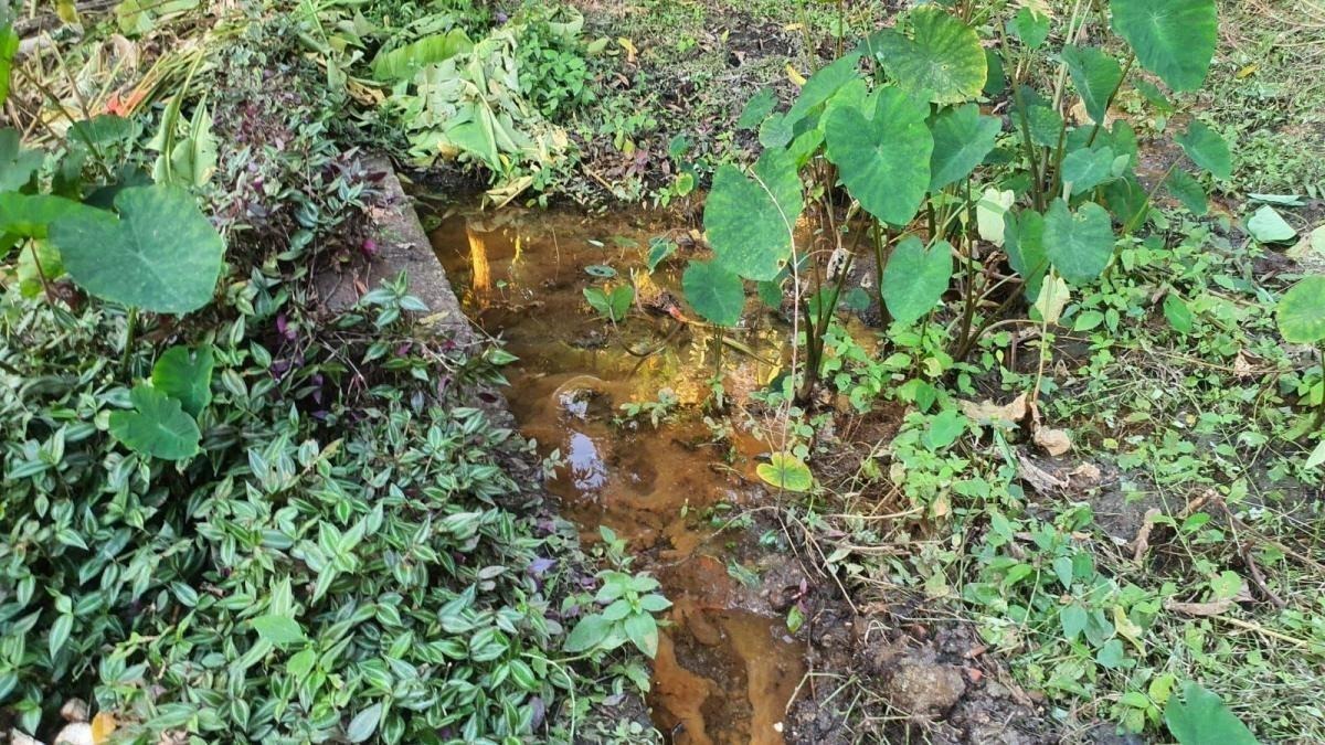 Imagem Terreno à Venda, 1 m²em Itaocaia Valley (Itaipuaçu) - Maricá