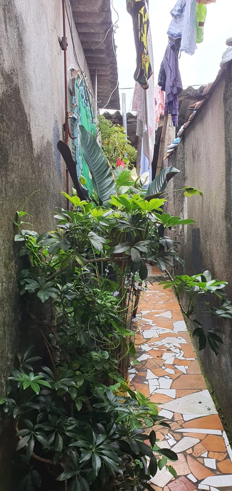 Imagem Casa com 2 Quartos à Venda, 121 m² em Vila São Benedito - Cubatão