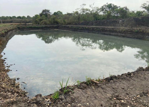Imagem Chácara à Venda, 20.000 m² em Nova Goianira - Goianira
