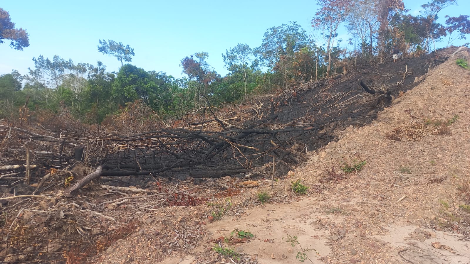 Terreno à Venda, 1 m²em Centro - Santarém