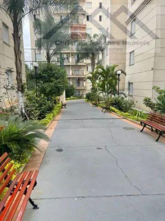 Imagem Apartamento com 3 Quartos à Venda, 67 m² em Jardim Vergueiro (Sacomã) - São Paulo