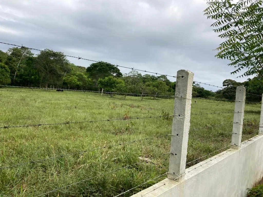 Imagem Imóvel com 3 Quartos à Venda, 17424 metros em Cachoeira - Cachoeira