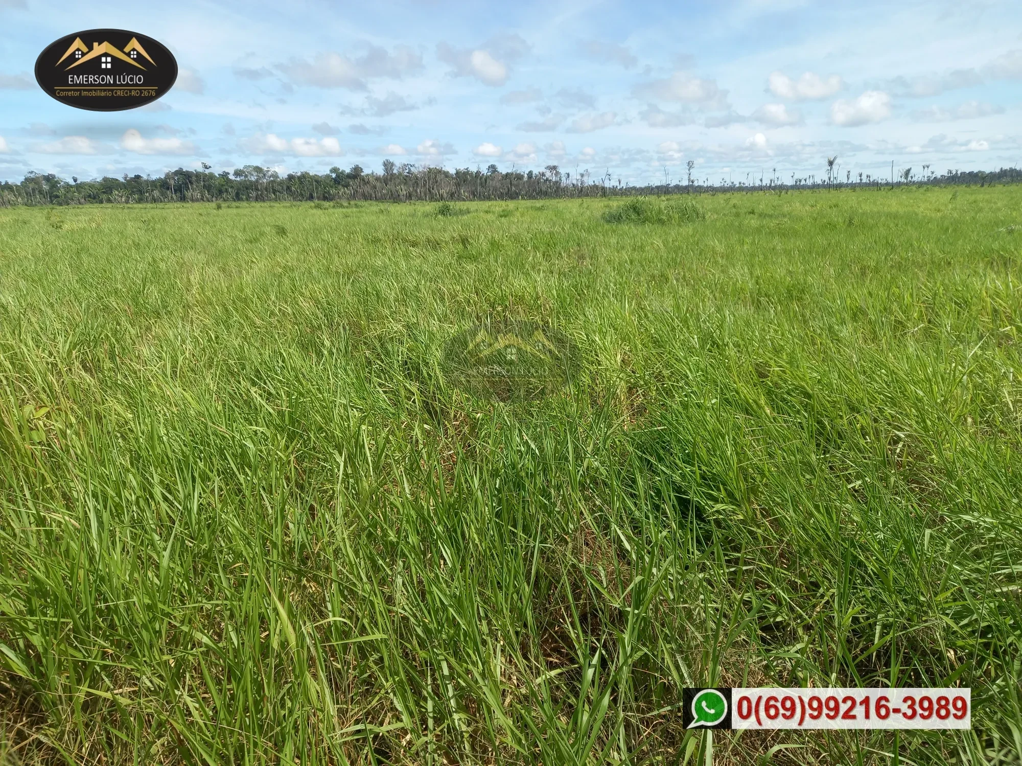 Imagem Fazenda à Venda, 54 HA em Área Rural de Porto Velho - Porto Velho