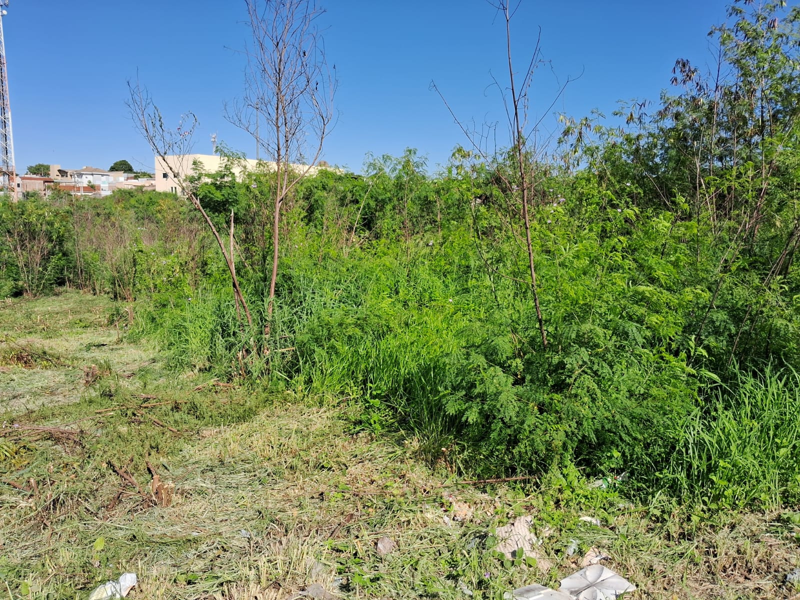 Imagem Terreno à Venda, 4.008 m² em Parque São Geraldo - Bauru